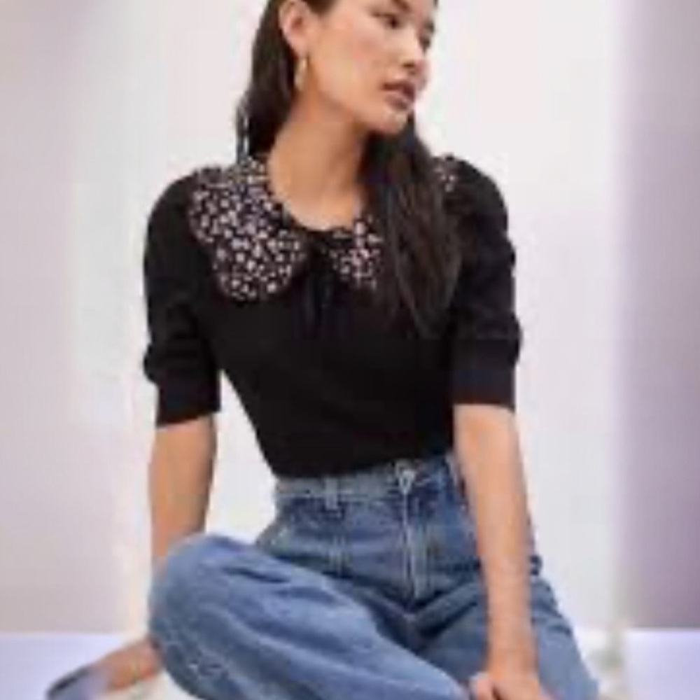 Anthropologie Maeve Floral Collar Sweater in Black Size Small NWT